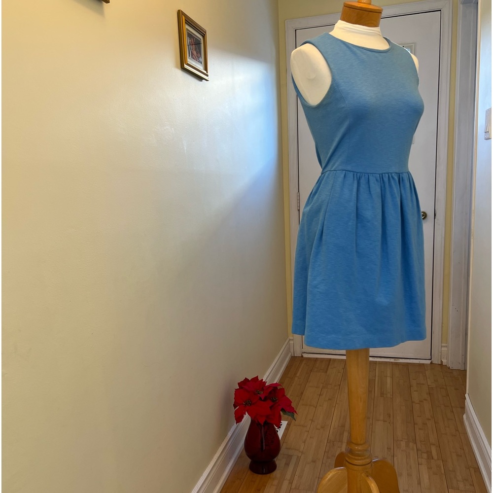 J-Crew Blue Dress